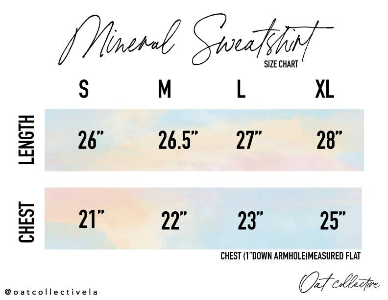 WEST COAST  Mineral Graphic Sweatshirt